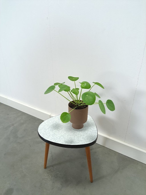 Table d'appoint porte-plantes avec plateau en Formica blanc bleu clair, n° 30