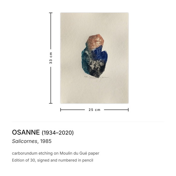 Osanne Signed Carborundum Etching Salicornes 1985 – Lithographs & prints, Paper (photo 3 of 5)