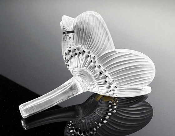 Image 1 of Lalique - Anemoon