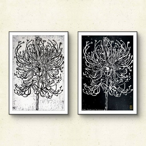 Linogravure Spider Lily Diptyque - A3 Botanical Print Set