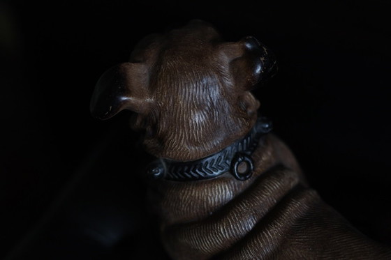 Image 1 of Bild eines Hundes