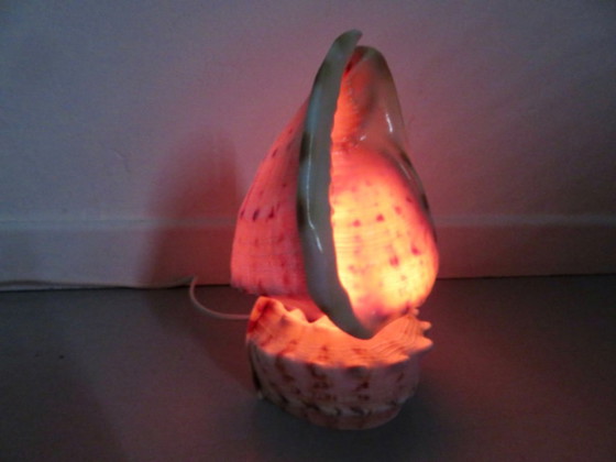 "Cassis Cornuta" schelplamp, vintage uit de jaren 70 – Tafellampen, Other (photo 4 of 13)