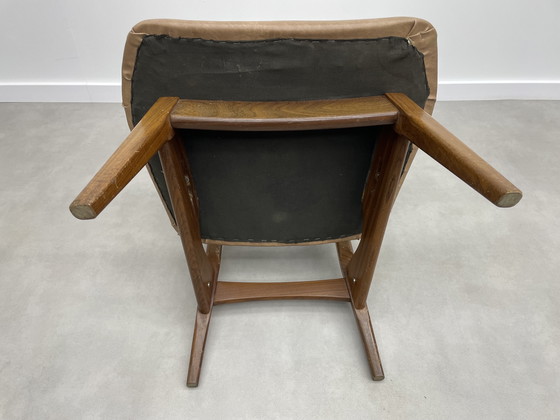 Image 1 of Louis van Teeffelen für das Wébé Penguin Restoration Project