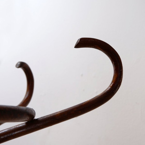 Image 1 of Appendiabiti a pappagallo in legno curvato vintage - stile Thonet