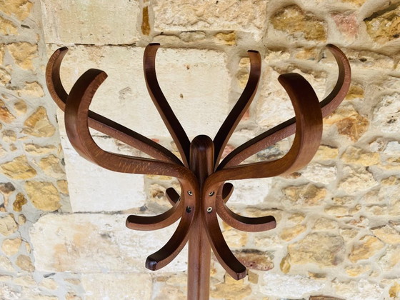 Image 1 of Appendiabiti in piedi, vintage, di metà secolo, in legno di Bentwood di Baumann, anni '60