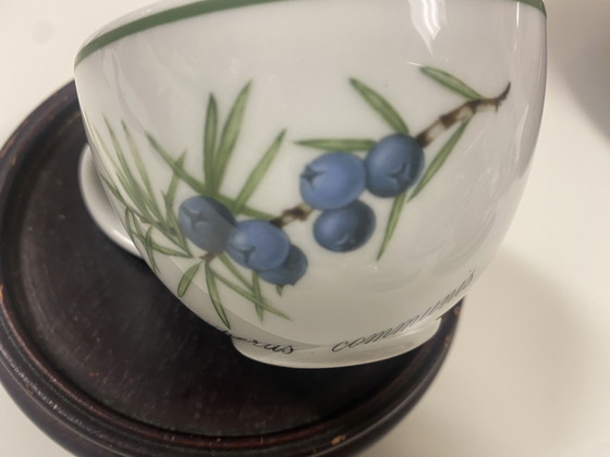 Image 1 of Apilco Elysian Garden Tableware