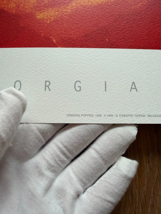 Image 1 of Georgia O’Keeffe (1887-1986), Oriental poppies, 1928, Copyright 1999- G.O’Keeffe/SOFAM Belgique editions  Pierre D’ Harville...,