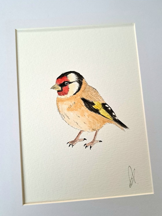 Peinture Aquarelle Originale Chardonneret | Cadre Inclus – Peintures et dessins, Papier (photo 5 of 5)