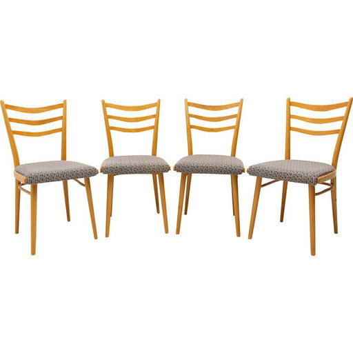 Set di 4 sedie da pranzo di metà secolo di Jitona, Cecoslovacchia, anni '60