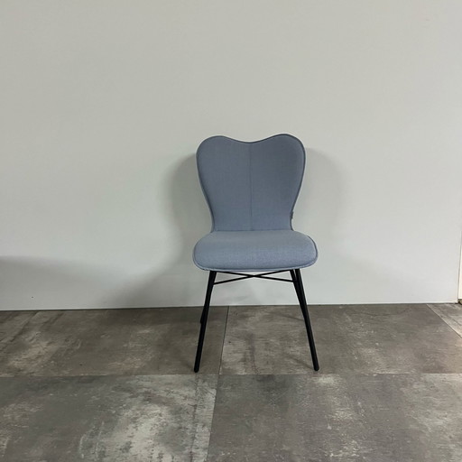 Ensemble de 5 papillons