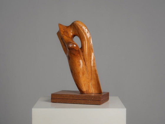 Organische houtsculptuur van H. Hinfelaar, Nederland, jaren 80. – Beeldhouwkunst, Wood (photo 4 of 9)
