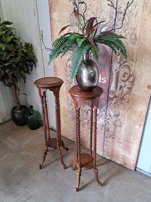Classic Mahogany Wooden Plant Tables Side Tables, Dim. 28x28cm and 100cm High