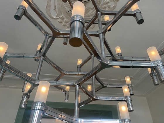 Image 1 of NEMO Crown Major