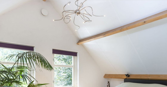 Image 1 of Beautiful 12-arm pendant lamp matte chrome