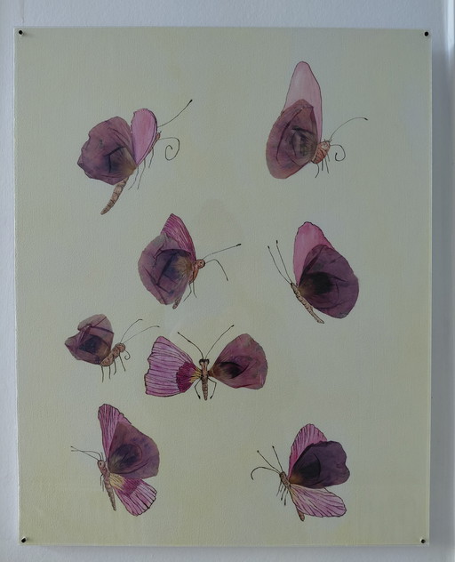 “Butterflies in the Air” Gallery Suncorner