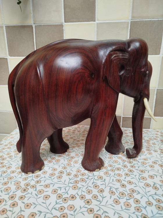 Image 1 of Gros éléphant