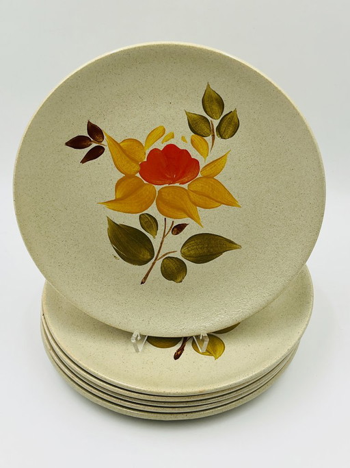 Servizio di piatti piani in gres di Saint-Amand, Giamaica – servies, Ceramic (photo 2 of 11)