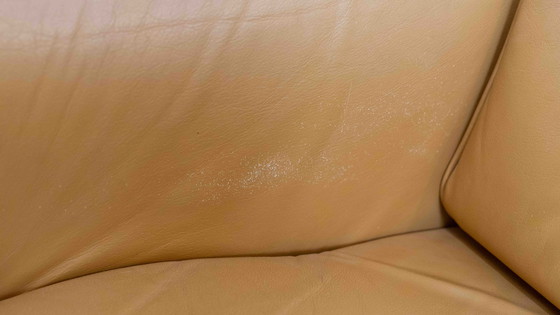 Image 1 of Braziliaanse stijl lederen zitgroep