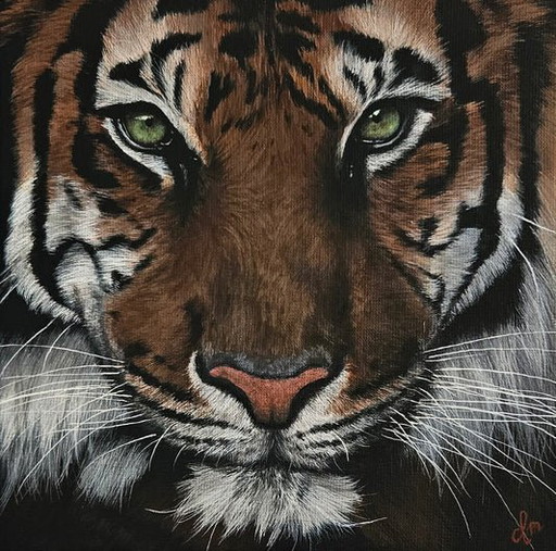 Large Canvas Painting Tiger, Fine Art Print