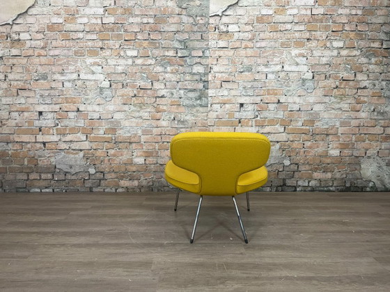 Image 1 of Artifort Libellula gialla