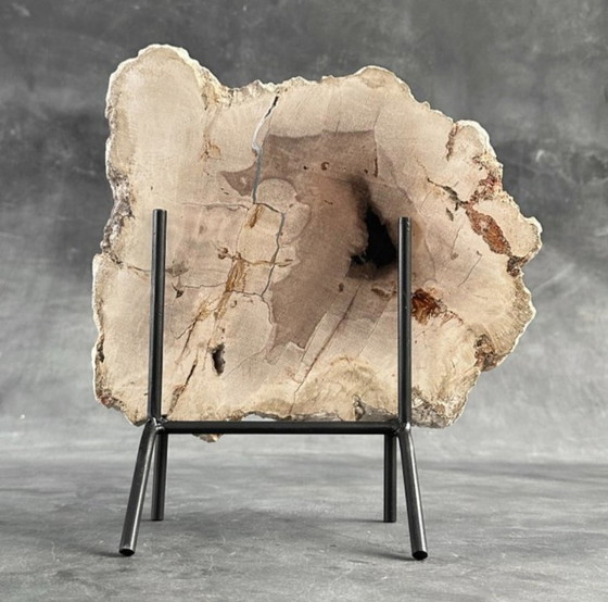 Image 1 of Madera fosilizada de Sooka, soporte hecho a medida (nuevo)