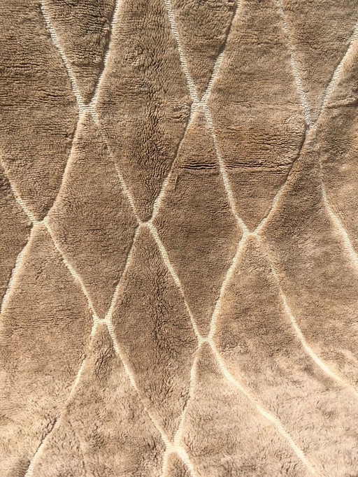 Uitzonderlijk M'rirt vloerkleed 340 x 250 cm