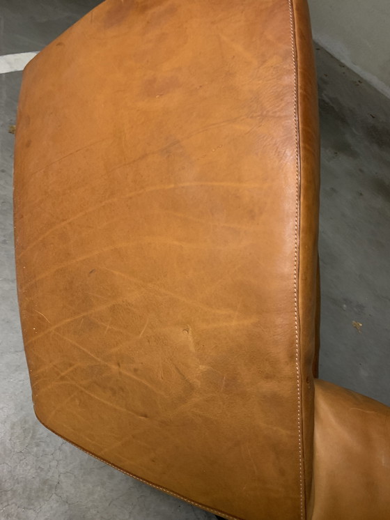 Image 1 of « LONGA » Gerard van den Berg avec harnais en cuir/cuir de buffle.