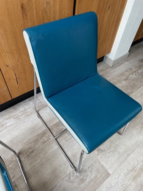 Four chairs, two with armrests, blue and white skai, Leolux, Dining chairs, Chrome, Modern (photo 5 of 7)