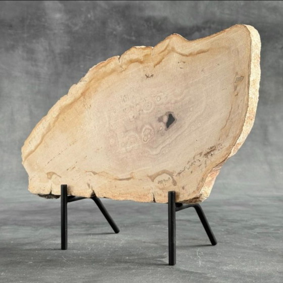 Image 1 of Madera fosilizada de Sooka, soporte hecho a medida (nuevo)