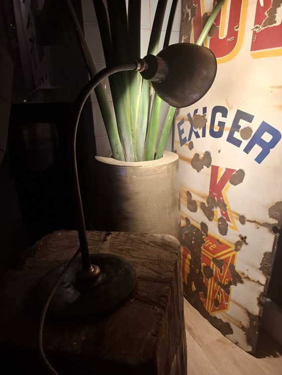 Image 1 of  Christian Dell Polo popular 2608