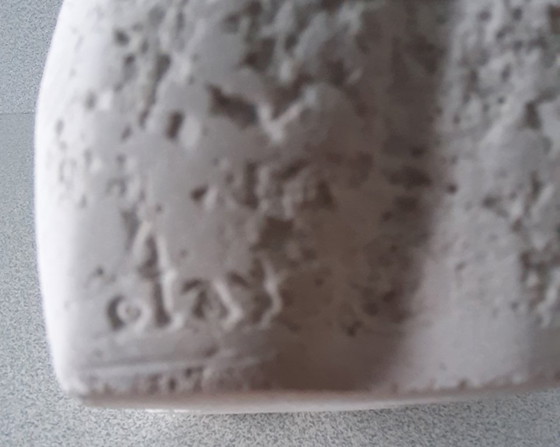 Image 1 of Poolbeer met welpen Orhan Otay