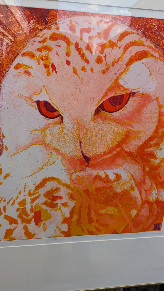 Image 1 of Large Coloring Set Snowy Owl Toni de Klerk