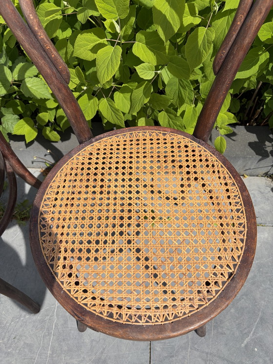 Image 1 of 2 vintage Thonet chairs with webbing seats