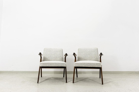 Image 1 of Sessel Typ 300-177 "Bunny", Polen, 1970er Jahre, 2 Stück