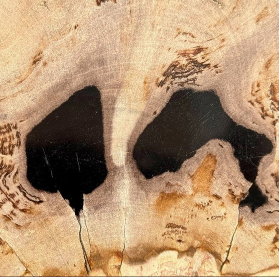 Image 1 of Magnifique pièce de bois pétrifié sur un support sur mesure BS-9