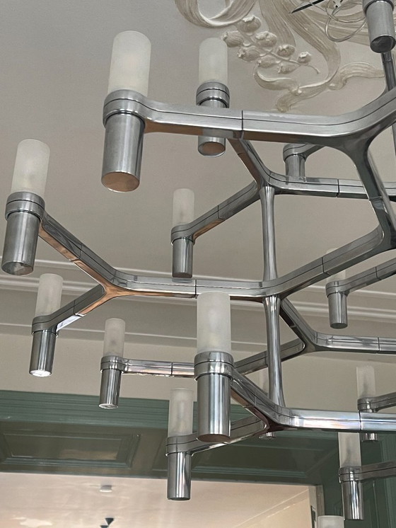 Image 1 of NEMO Crown Major