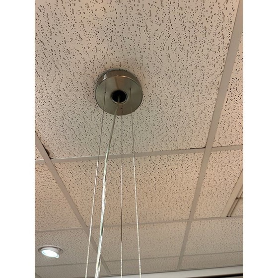 Image 1 of Suspension Lumina Oak Tree