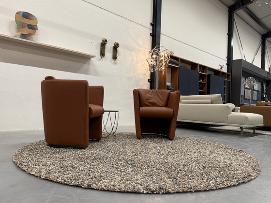 Image 1 of 2 Leolux Suva Fauteuils Wapiti Hawk leer 