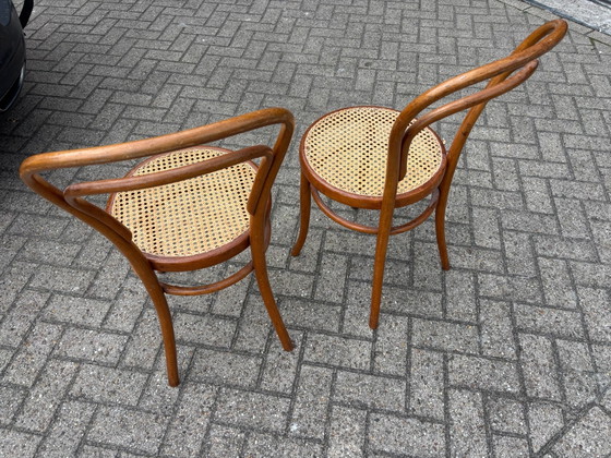Sedie da bistrò in legno Josef Hofmann 2 pz. – Sedie da pranzo (photo 9 of 11)