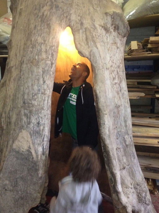 Árbol hueco — Espacio interior (pieza única)