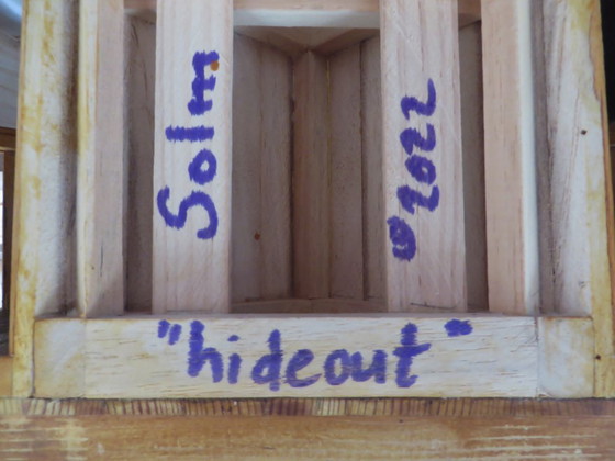 Image 1 of Eric van Solm - 'Hide out'