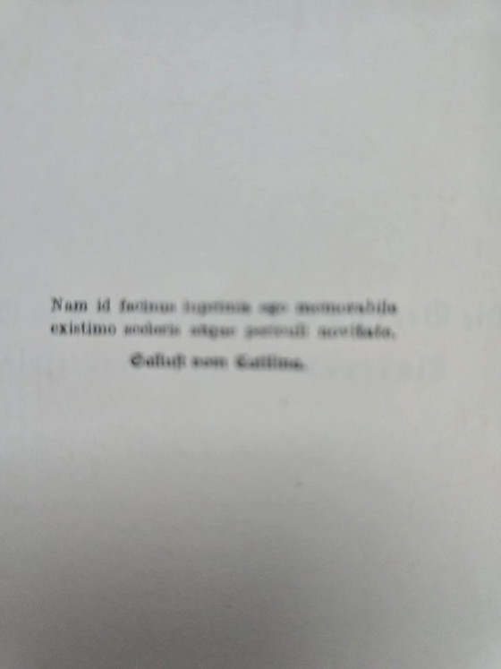 Antico set di due volumi "Schillers Werke" (circa 1910) – Dorso rosso-verde e stampa dorata (photo 8 of 17)