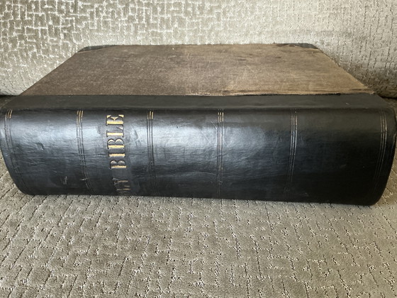 Bibbia, Antico e Nuovo Testamento, Libri d'arte, Carta, Pelle, Beige (foto 18 di 20)