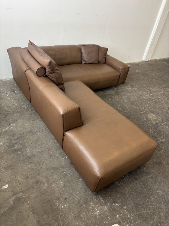 Rolf Benz MIO Canapé Designer en Cuir – Canapés d'angle, Leather, Modern (photo 4 of 8)
