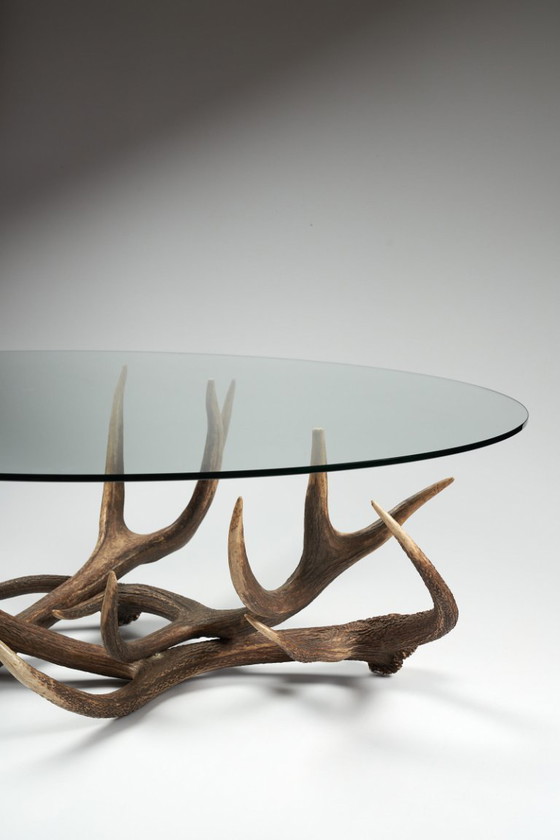 Image 1 of Mesa de centro de cuerno con estante de cristal transparente