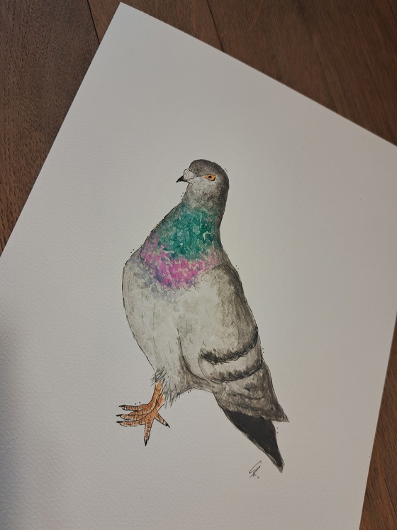 Image 1 of Watercolor painting of a dove | Gold-colored frame