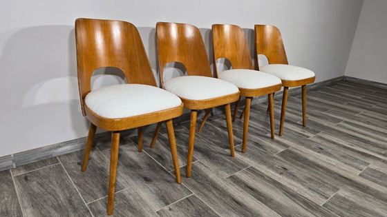 Image 1 of Eetkamerstoelen van Oswald Haerdtl