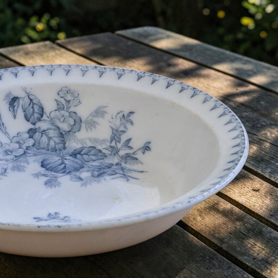 Image 1 of 19th century ironstone shallow dish signed Sarreguemines, Flore collection
