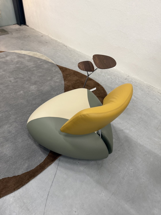 Image 1 of Leolux Pallone Fauteuil Senso leer Amber