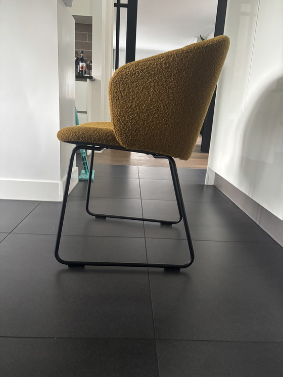 Image 1 of Sedie da pranzo Arco Close